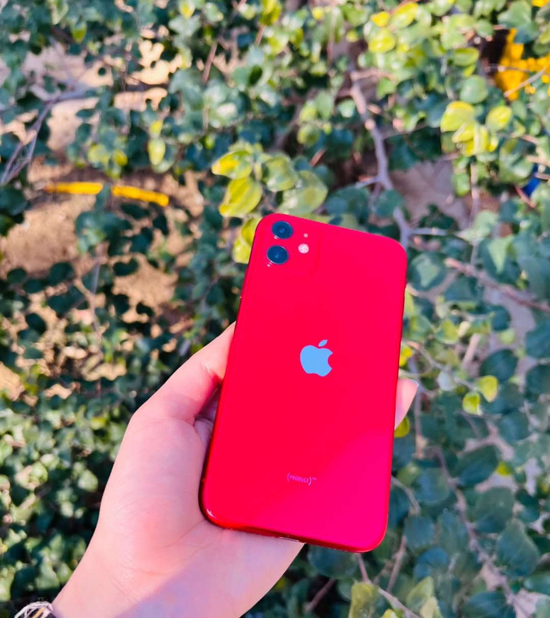 مكلف ب نشر  رجا
ايفون 11 عادي❤️
ذكره 128 🖤
مبدل شاشه اصليه تفصيخ 🫰🏻
نضافه فول 
مكفول وكله شغال 🫴🏻@
بطاريه 71 بلاديه 
فيس ايدي كامرات كله شغال ❄️
مكاني واسط كوت 
سعر 240 💸بي مجال كلش قليل 
شراي يتصل ***********
