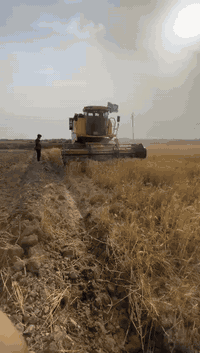 للبيع حاصدة موديل 2020/40/50 فول مواصفات مكفولة كفاله عامة بسمي تحويل ثاني يوم سعر  اتصال ‏‪***********‬‏ حجي عبدالله حسين البديري
