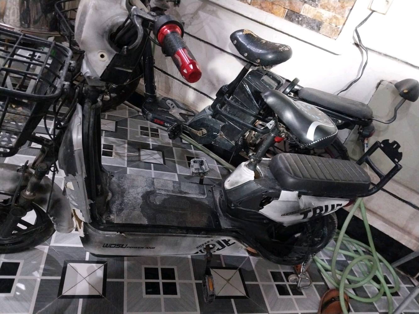 بابل المسيب 