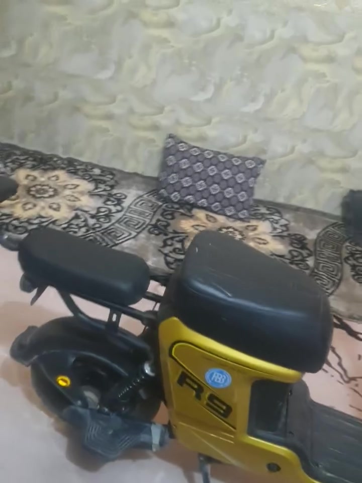 للبيع السعر 400المكان الرميثه


**إذا كنت صاحب هذا الإعلان وتريد حذفه لأي سبب، رجاءا أرسل رسالة إلى الدعم الفني**