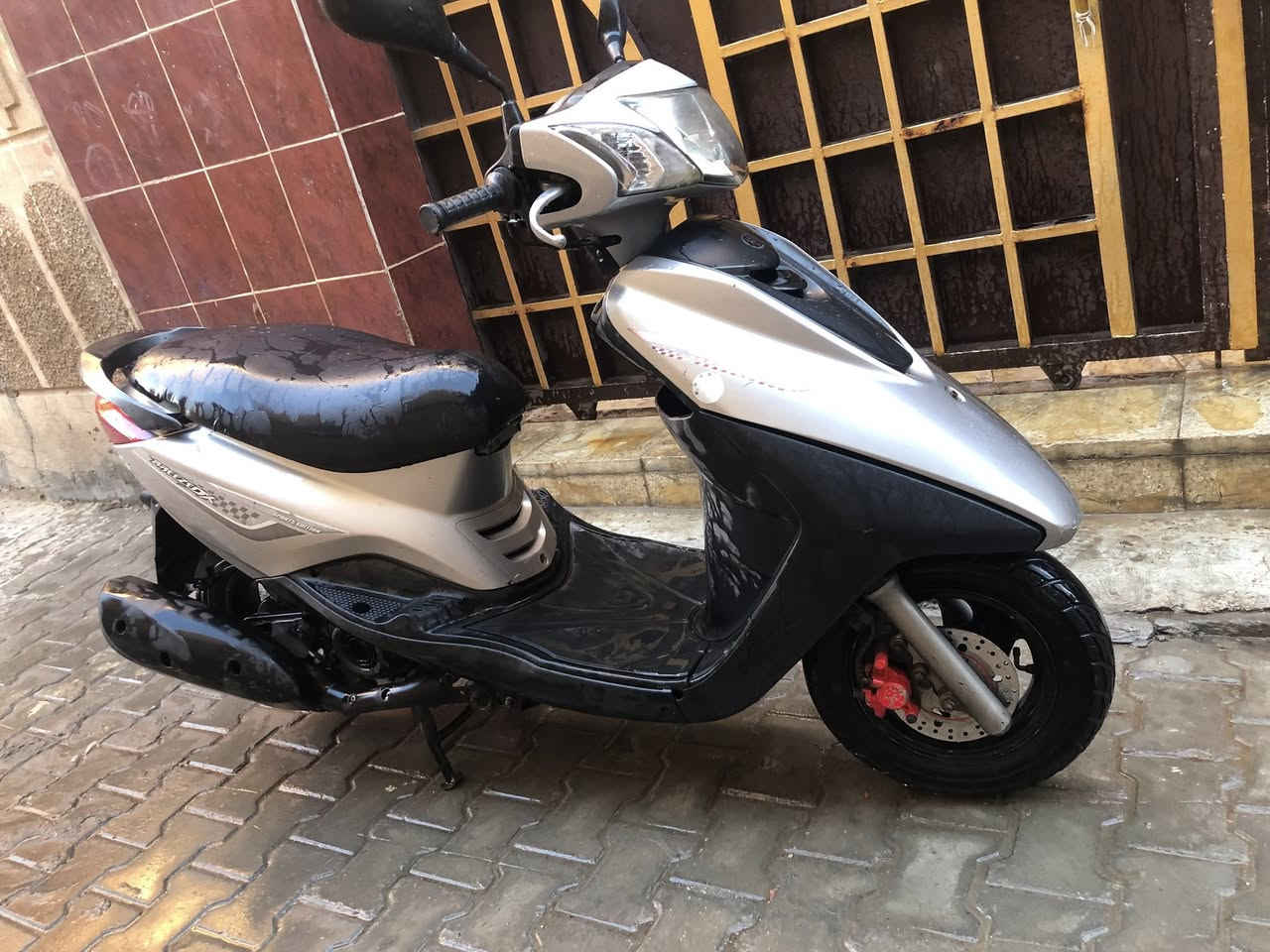 بغبغاء صارلهى شهرين من نزلت رمبه كفالة عامه منطول لطول حت شادله هندر سعر 850 الف بيهى مجال حك جيه بغداد كريعات استفسار اكثر اتصال ☎️ ***********
