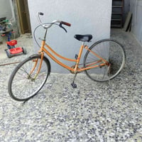 باسكل • حجم 26 • حالة زينة