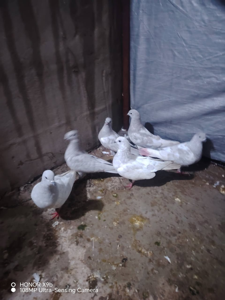 بخاريات لبيع ٣ أزواج سعر الزوج ١٥ المكان حمدانيه *********** رقمي الاسيا***********
