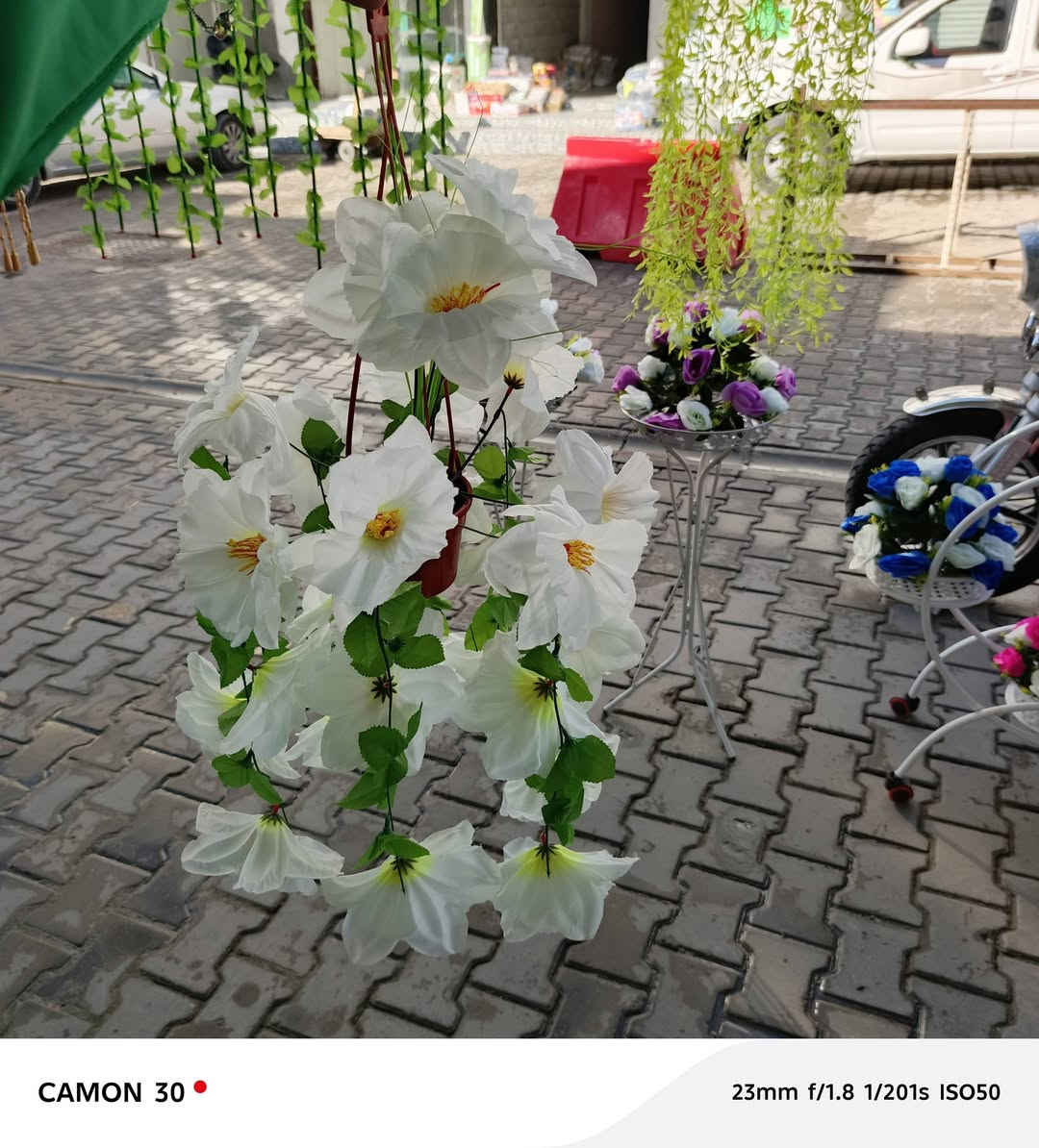 سندانه ورد تعليگ كثيفه توفرت بثلاث الوان


**إذا كنت صاحب هذا الإعلان وتريد حذفه لأي سبب، رجاءا أرسل رسالة إلى الدعم الفني**