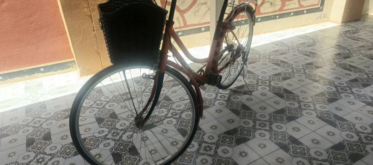 السلام عليكم  بايسكل 🚲🚲🚲للبيع نضيف بريكات فول بايدر زنجيل على تايرات 
ستان كشن فول وسلة السعــر  خاص مستعجل على البيع 🗣🗣
المكان ديالى /العظيم /


**إذا كنت صاحب هذا الإعلان وتريد حذفه لأي سبب، رجاءا أرسل رسالة إلى الدعم الفني**