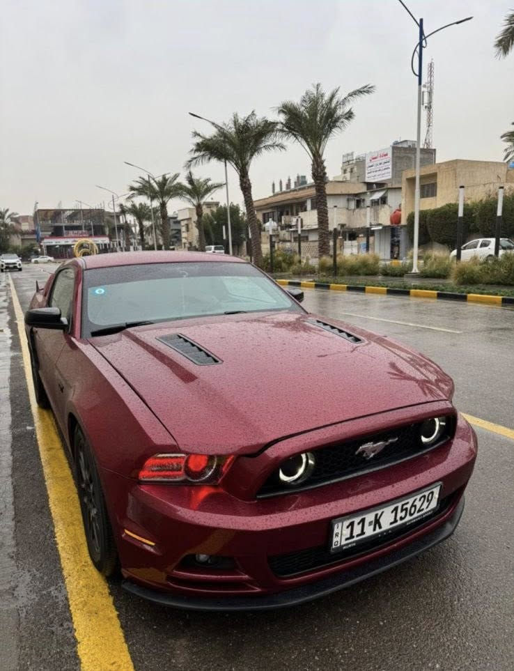 موستنك للبيع او مراوس 2014 v6 
-رقم بغداد بأسمي هزة وسنوية جديدة 
-حادثها بنيد فقط ومبدل GT وبيها جامغ وباب سكن صبغ اثر شخوط 
-كير مكينة اكسل تبريد شرط
-لد حاجب متغير وعدسات زنون اصلي
-مشتغلها دوشمة جديدة - كرسي كهرباء
-باتري جديد من ديار الخضراء
-مسوي عليها ادامة كاملة غرفة الاحتراق و بلكات اصلي وزوج اذاين ودجة.
-عليها ادامة كاملة لمنظومة المي يم الحسام 
-عليها فيتبم جديد 
-مشتغلها بوليش يم قحطان الصفار
-الاكسسورات قاعدة رقم RTR - لحية - دفيوزر - سكوب جاملغ خلفي - سكوب جامة خلفية 
جاهزة بدون اي نقص وبدون اي جيك انجن.
لتواصل واتساب ***********
