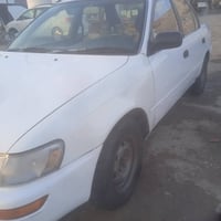 كورلا • بدون صبغ • رقم دولي كركوك