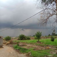 ١٢ دونم • نخل محمل ٢٠٠-٣٠٠ • قرب مركز النجمي