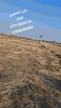 شريفة بنت الحسن • دونمين • سند ٢٥