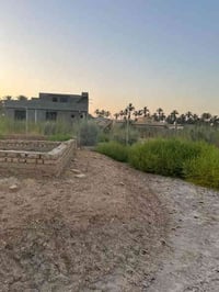 للبيع نص دونم 1250م  تصلح سكن وتصلح مزرعه الموقع وردية داخل شارع المطح...