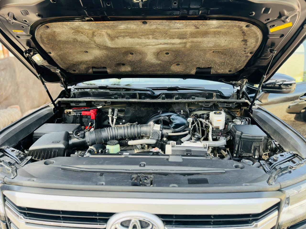 الاندكدكروز مديل 22 ساز تنفس طبيعي مكفوله من الصبغ ول ضربه ول بارد السعر 64 وبيه مجال يعني ست شداد وربعين ورقة /***********
