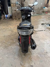 للبيع سكنس فحل نوزل نضيفه شلعه معدل خير من الله مكانها بغداد السعر 750...