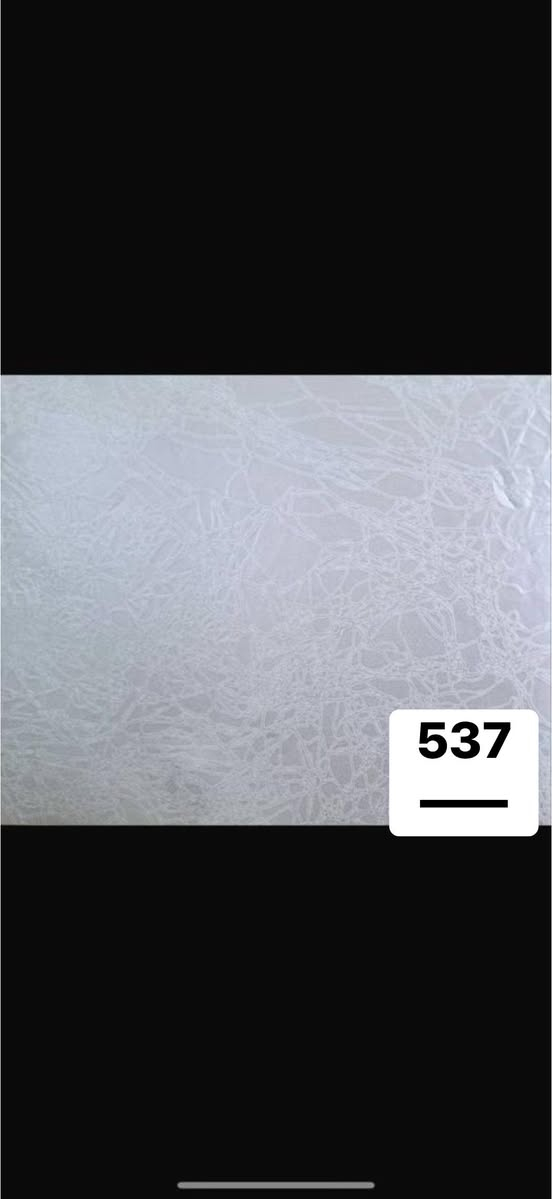 سلام  عليكم ..!!
سلام عليكم .!!!
يتوفرجدار تغليف ايراني   بالالون عده وكميات خير من الله ❤️😍
(والاسعار جدا مناسبه  جمله فقط جمله فقط )
ويتوفر ايضا مفرد 
عنوان  -بغداد - جسر ديالى 
ويتوفر توصيل كافت المحافضات   للجمله فقط 
***********يتوفر واتساب ايض
