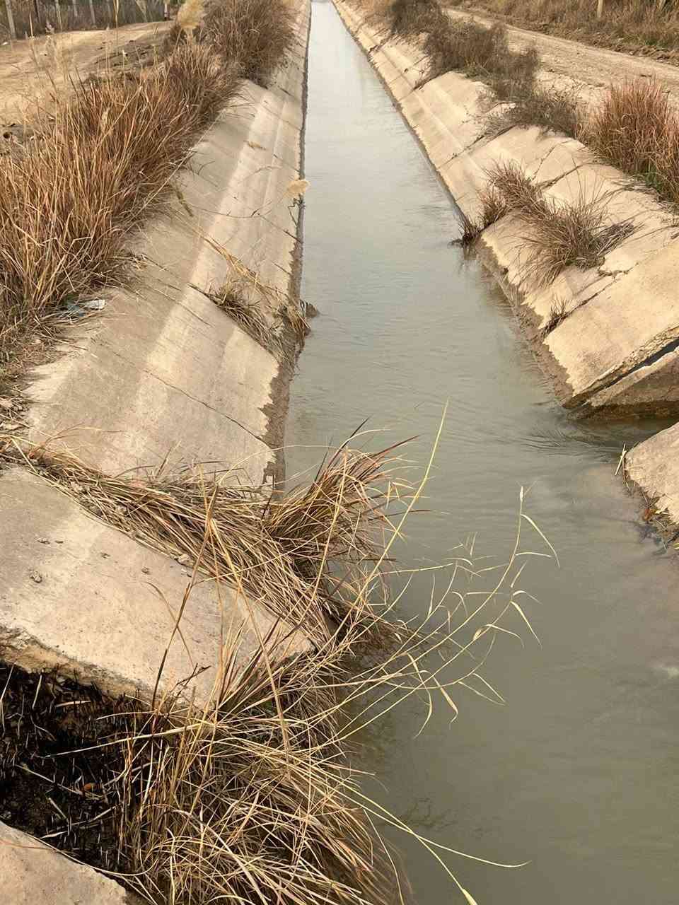 ياالله
للبيع ٧٠٠ متر في بغداد منطقه الراشديه

ترهم ستثمار وه مزرعه متنفس الك

كل خدمات بيه ماء اساله وماء روئي وكهرباء ويوجد فيه نخيل

حلوه سعر ٧٠٠ مناسب 30مليوان بيه مجال الاستفسار تصال على رقم ***********
