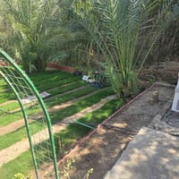 الناصريه • كادر زراعي • زراعة نخيل