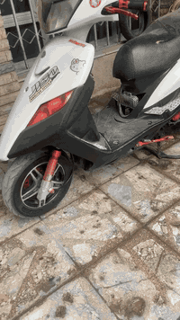 تفصيخ ثعلب تزويد كله كت كرزي اصلي شيعجبك موجود جماعت الفكريات دبلات صد...