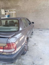 النترا • ١٩٩٣ • صبغ شركه