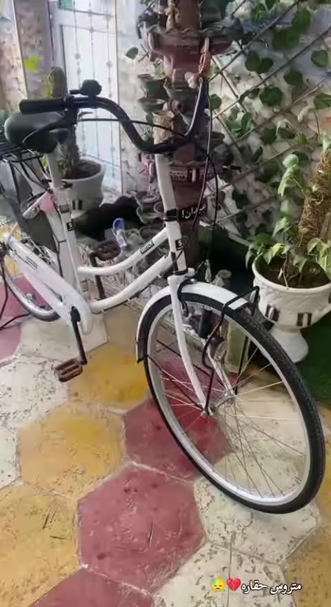 كفاله السماوه للبيع ب160 مديل 19


**إذا كنت صاحب هذا الإعلان وتريد حذفه لأي سبب، رجاءا أرسل رسالة إلى الدعم الفني**