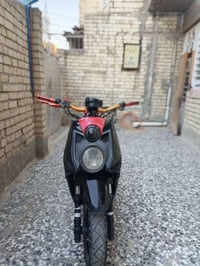 مراوس • بسكنس • فحل