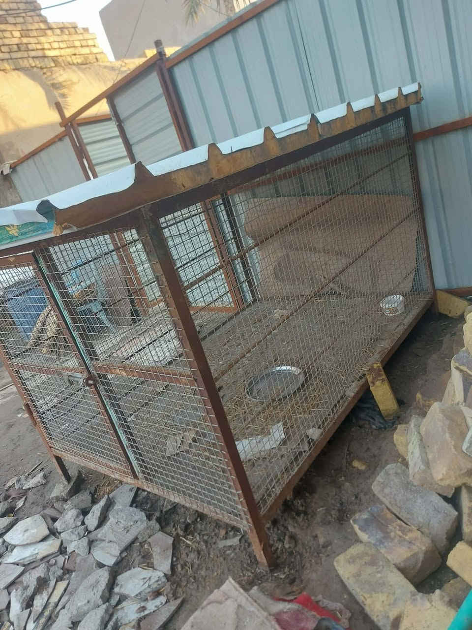 قفص حديد من هاذ الزين البيراسي كذالك سعره 100 بي مجال بسيط باب لبيع ب30 قفل ودبه ب20 
مكاني القرنه حي السلام جسر المشاة 

رقمي متواجد اتصال ونت***********
