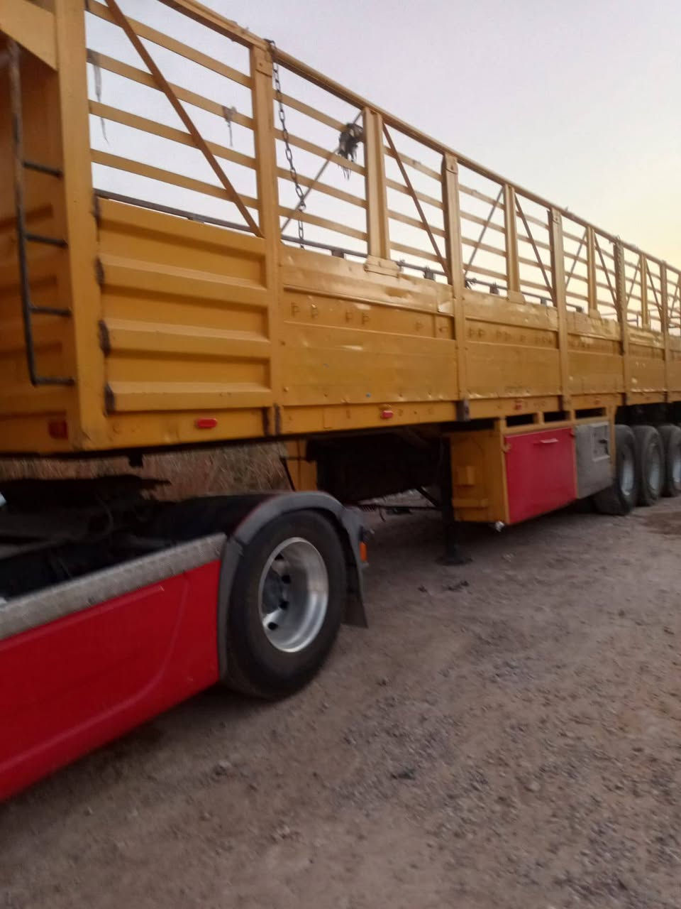 عريانه اربع دناكير طول 13 و60. ***********
