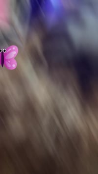 حجز خاص • حي العصري • شارع التربيه