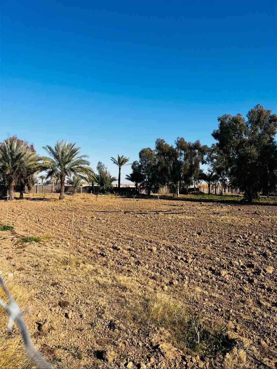 🟠 3 دونم طابو زراعي للبيع🟠  

📍موقع العقار : الرمادي زنكوره قريب من مفرق زنكوره وبالقرب مجمع الكرغوليه 

🟠 موقع مميز 

🟠الأرض طابو زراعي سند ٢٥

🟠 الدونم وجه على شارع 10 متر 

🟠ارض كلش حلوه
 
🟠الارض مسيجه بالكامل بي ارسي ونظام تقطير كامل + بئر ماء للارض ومزروعه بعض الاشجار المثمره

🟠 تتوفر فيها كافة الخدمات ماء كهرباء وماء سقي

🟠الارض ترهم مزرعه أو سكن

🟠 مساحة الارض (3 دونم ) 

🟠تحويل مباشر ( ثاني يوم يفتحلك بيان)

🟠 للمعرفة السعر فقط ارسال المعلومات على الواتساب او على الخاص او الاتصال على هواتف المكتب 

🔶 اذا عندك عقار تريد تعرضه للبيع او تريد تشتري عقار🔶
__________________________________
* متابعة الصفحه يصلك كل ما هو جديد *

 ✅للأستفسار الاتصال على الارقام التالية :

 
📞*********** 

موقعنا على الخريطة 

‏https://maps.app.goo.gl/uaqG7ir7EbX2DQkBA

أو زيارة مكتبنا الكائن الرمادي_ ناحية اليرموك (زنكوره سابقا) 

المفرق  /مقابل جامع هادي البشير (البمرعي)

#مكتب_عقارات_زنكورة 🕹️
