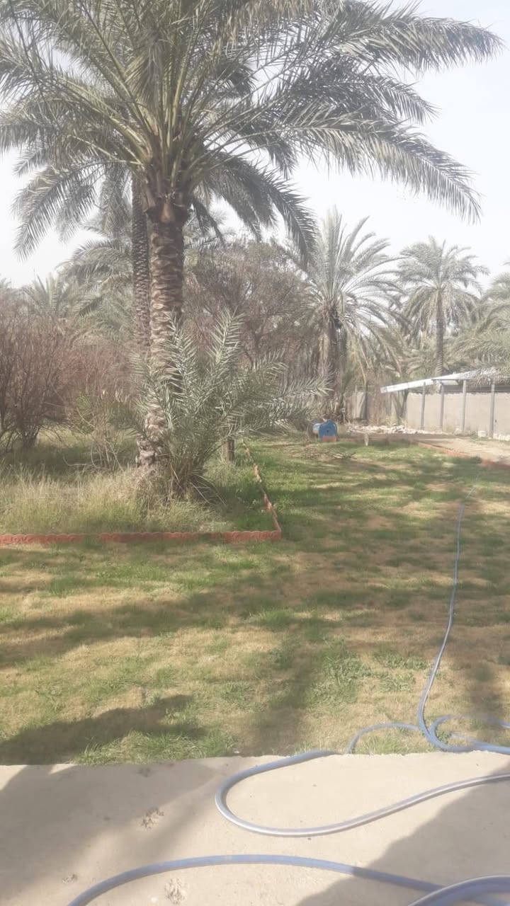 خوان دونم وثنميت متر للبيع في منطقت الرشديه سند خمسة وعشرين***********
