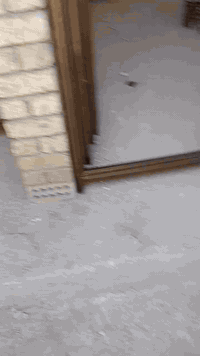 صبغ وديكورات • جبس بورد مغربي • ورق جدران