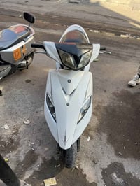 ثعلب مصار • كفالة عامة • الاعظميه