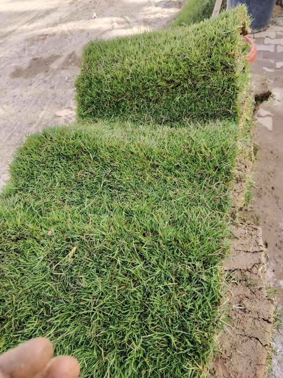 وصلنا ثيل درجة اولى هندي✅
العنوان كورنيش الديوانية مقابل هايبر توفير 
للحجز والاستفسار مراسلة الصفحة


**إذا كنت صاحب هذا الإعلان وتريد حذفه لأي سبب، رجاءا أرسل رسالة إلى الدعم الفني**