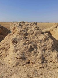 يوجد تبن للبيع مال السنه 07735902402