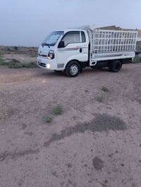 فحل • موديل ٢٠٢٠ • رقم جديد