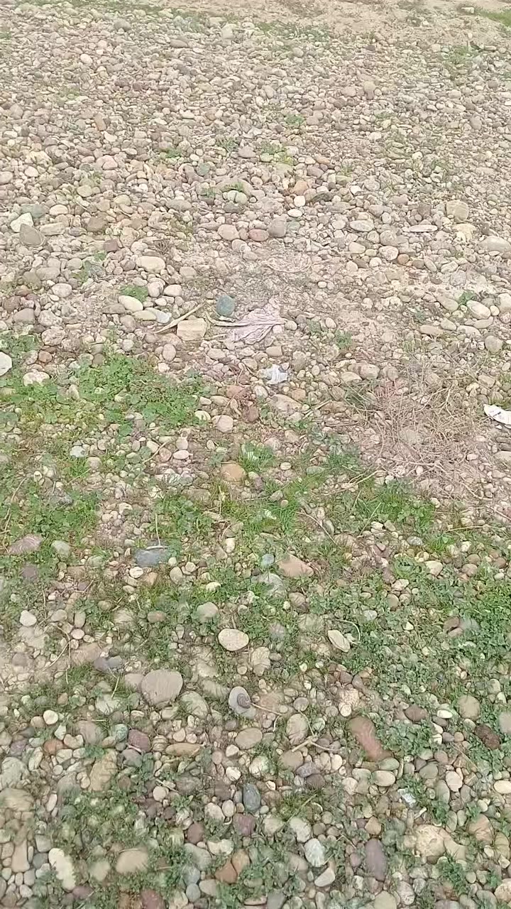 الاتصال على ***********
