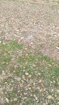 حي الازدهار • أرض • ٣٠٠م