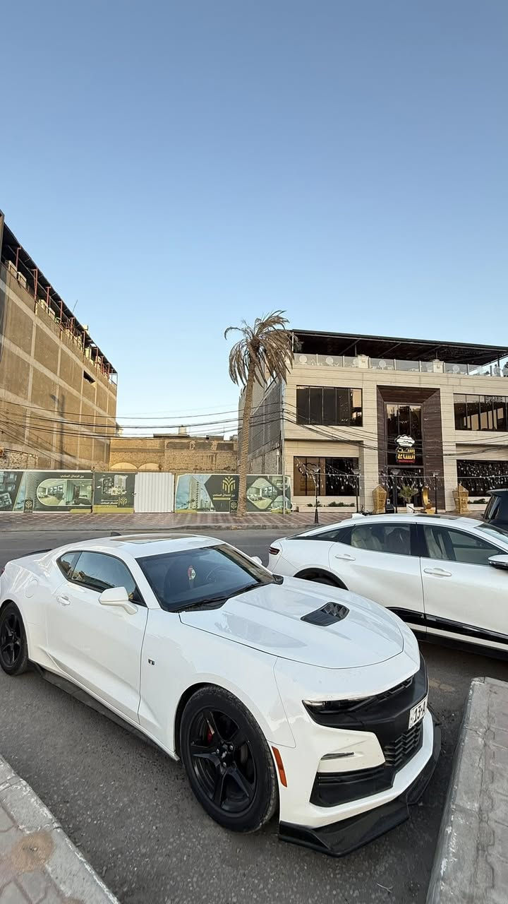 #كمارو
 (2023) للبيع او مراوس 8v
✅ فـــول فـــول مـــواصفـــات 1/1
✅ ضرر بسيط بدون أيرباگ دشبول ودرگة
✅ ماشية (14ميل)
✅ مرقمة وبأسمي ..
✅فتحة سقف
✅تشغيل عن بعد
✅ لحية امامية 
✅ سبويلر خالفي
✅ دوجسات جانبية
✅ لايتات ليد زينون بيلادي
✅ حجم المحرك : V4 تيربو اقتصادي وطيارة 
✅ اللون ابيض 
✅ كاميرا دوارة
✅ نظام سپورت
✅ كار بلاي
✅ تحكمات ستيرن
✅ حساسات مانع أنزلاق
✅ دفع خلفي
✅ شاشة بأحدث نظام (بلادية)
✅ كشنات اسود البلادي
✅ كرسي كهربائي
✅ تبريد ثلج
✅ السيارة لا موشمة ولا مزروقة بعدها على البلاد
✅ أي سستم إِكزوزات ما مشدودلها ولا ملعوب بالصالنصات (حجر البيئة بلادي)
✅ دبلات بلادية (لا منصاية ولا معلاية).
✅ ما عليها أي برمجة أو تغيير بالنظام (بلادية)
✅ أديرلها دهن موبار أصلي + بانزين محسن.

[الضرر]
✳️جاملغ الايمن والايسر
 ما مفتوح بدواخل البنيد .. وبدون أيرباگ دشبول ودرگة.

ملاحظة: السيارة گعدتها كُلش مرتبة وجَديدة جداً.
من انظف الكمارو بالعراق

‭+964 776 672 3187‬


**إذا كنت صاحب هذا الإعلان وتريد حذفه لأي سبب، رجاءا أرسل رسالة إلى الدعم الفني**