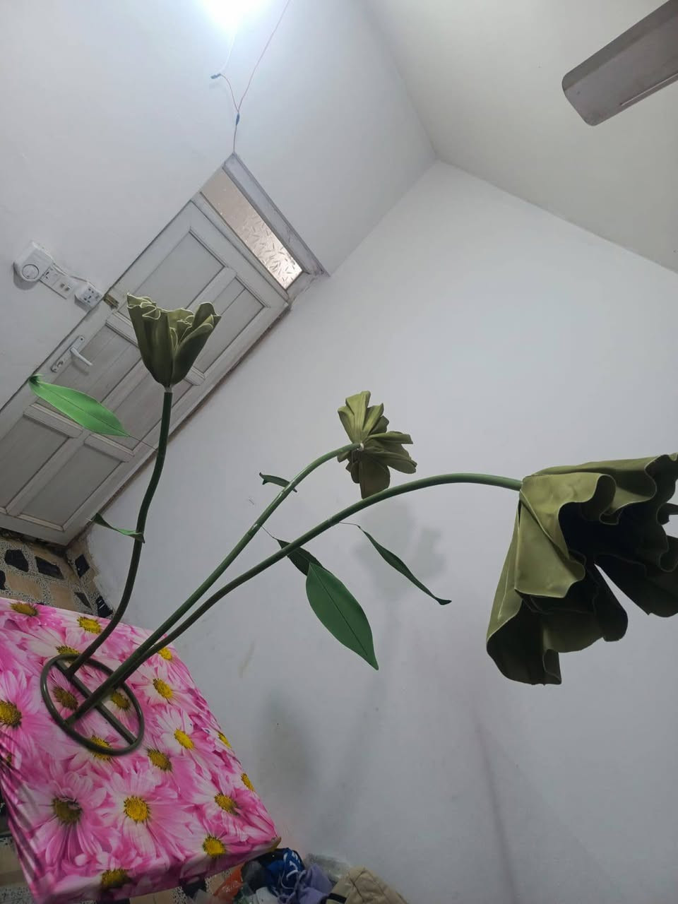 السلام عليكم اخوان
ورد بهذا الشكل للزينة 
قطعتين 25الف وتوصيل مجاني


**إذا كنت صاحب هذا الإعلان وتريد حذفه لأي سبب، رجاءا أرسل رسالة إلى الدعم الفني**