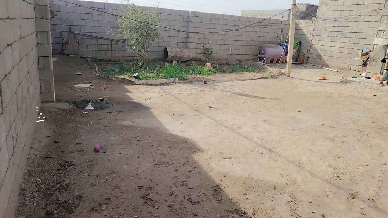 السلام عليكم
# دار سكن للبيع  معا ارض 

الدار غرفتين. وصاله ومطبخ  والمشتملات 

مكان. الشافي  منطقه الشنانه.  قرب جسر سيد علي نور 

للستفسار.  ***********
