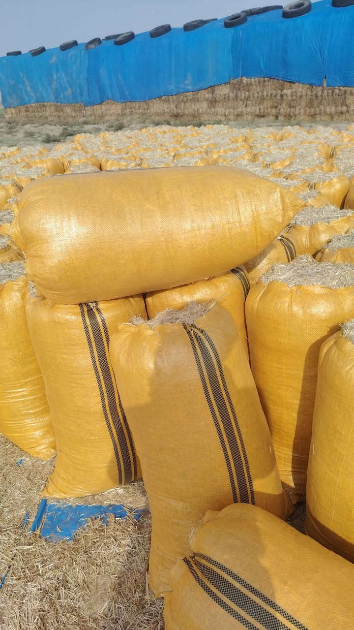 يوجد لدينا تبن هاي قياسه  #عرض60 #طول 90 #الزوج ب 4 واصل للاستفسار
***********
***********
