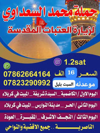 كربلاء ليلتين • النجف وادي السلام • محمد السعداوي