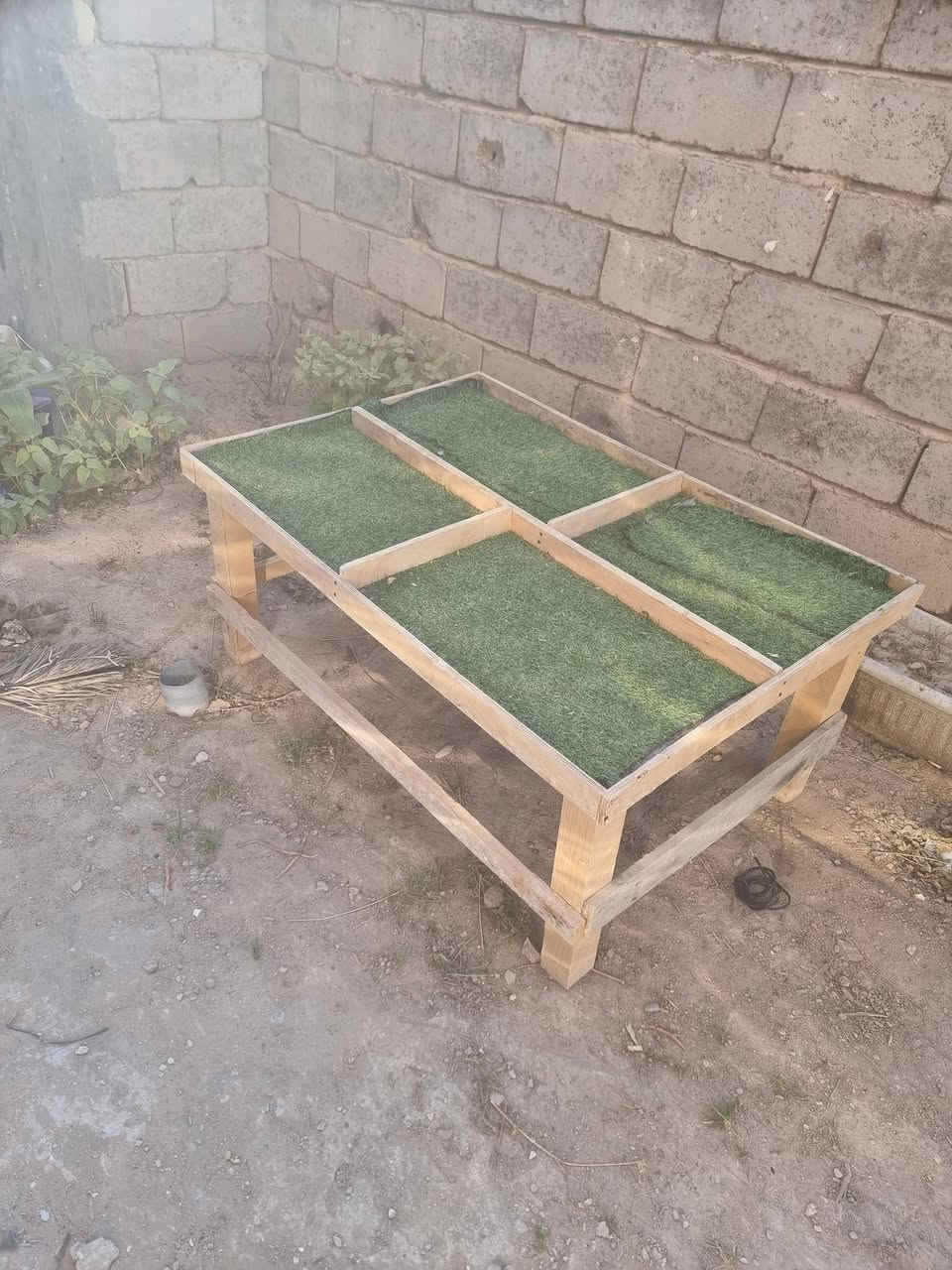 ميوزه مخضر للبيع ***********
