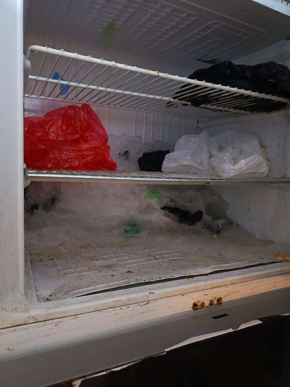 سلام عليكم غساله غراض كلهن شغالات ونضاف سبالت ثنين ب325 مقفول غازهن ثلاجه عل تجميد 100 سنك كاونتر 50وغساله تغسل بطانيه امل نفرين 16 لو17 كيلوب 175نضاف مكاني بغداد بلديات المعسكر ***********
