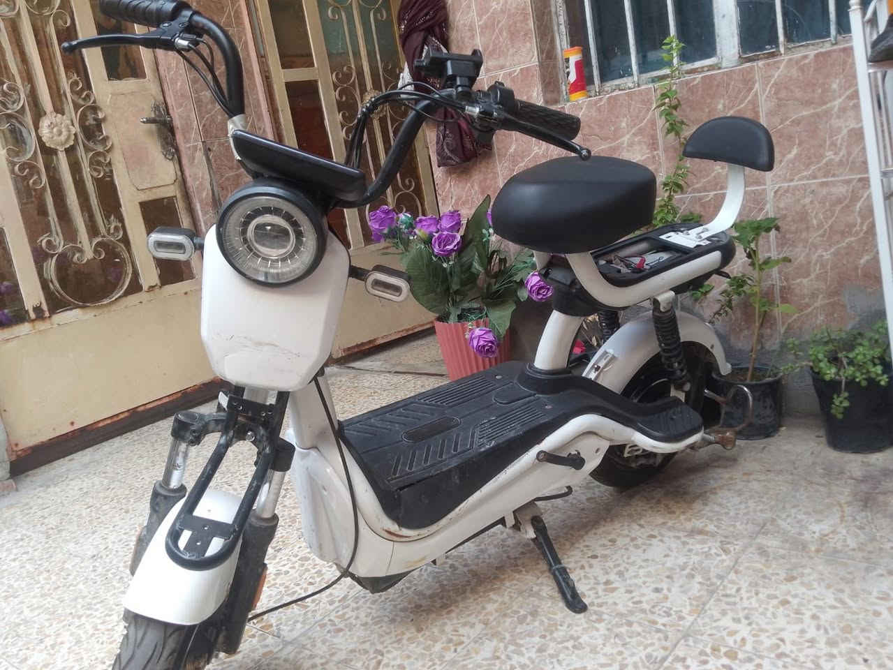 250 وبيها مجال ***********
