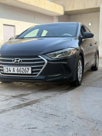 النترا • ٢٠١٧ • وارد امريكي