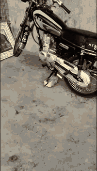 نامه موديل 2024سعر 700وبيهه مجال مراوس بتايكر  وراق صولي 07763889273