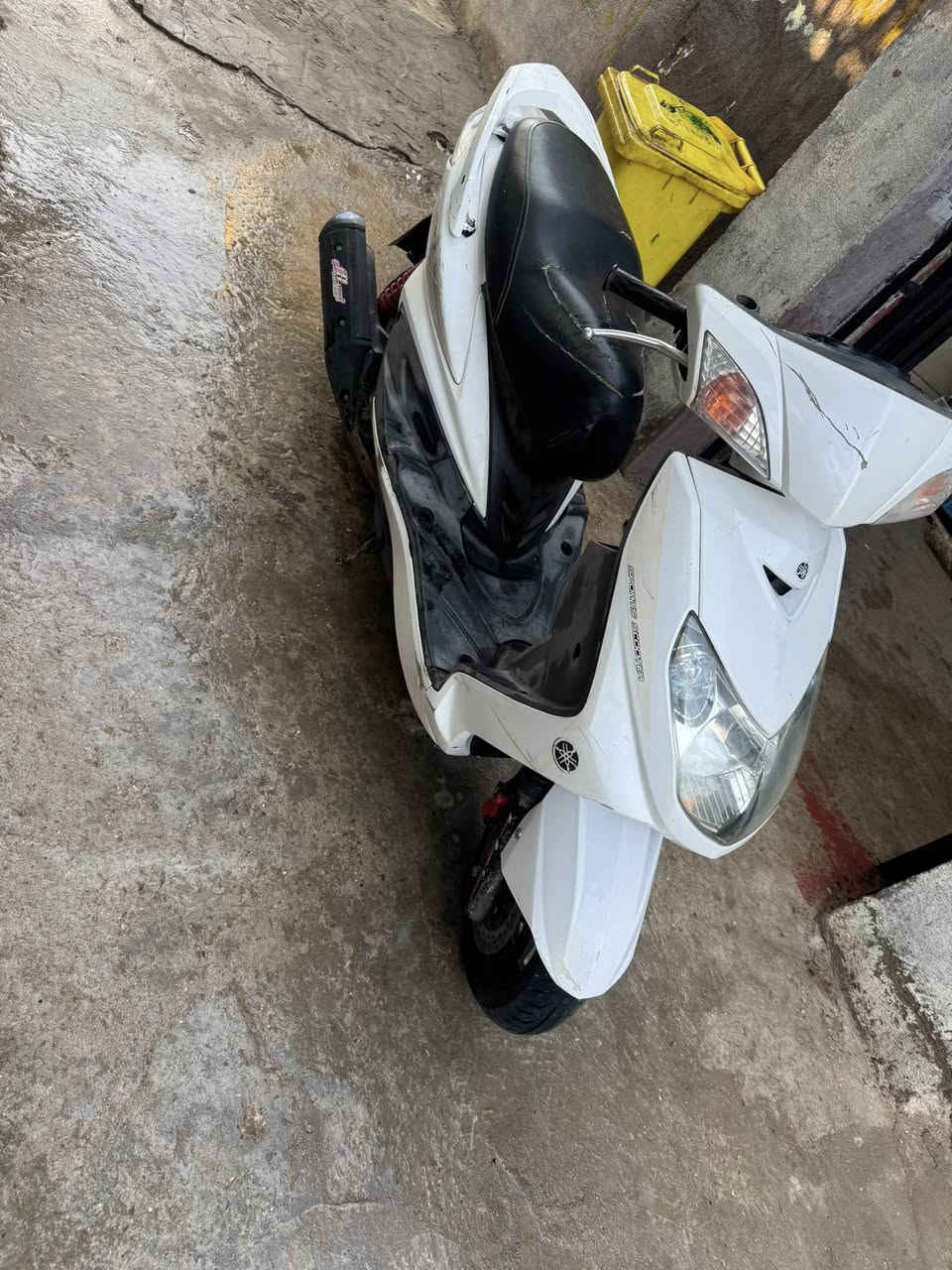 سكنس فحل للبيع مكاني بغداد الغزاليه السعر 700 مثا ما واضح بل صوره ***********
