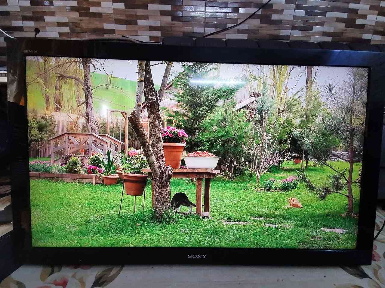 سلام عليكم اخواني عندي شاشه نوع سوني الأصلي ماليزي حجم 46 بدون نت السعر 250 مع ستلايت تكنيك جديد يفتح يوتيوب وقنوات الرياضيه المشفره والأفلام والمسلسلات
***********
WhatsApp +964***********
