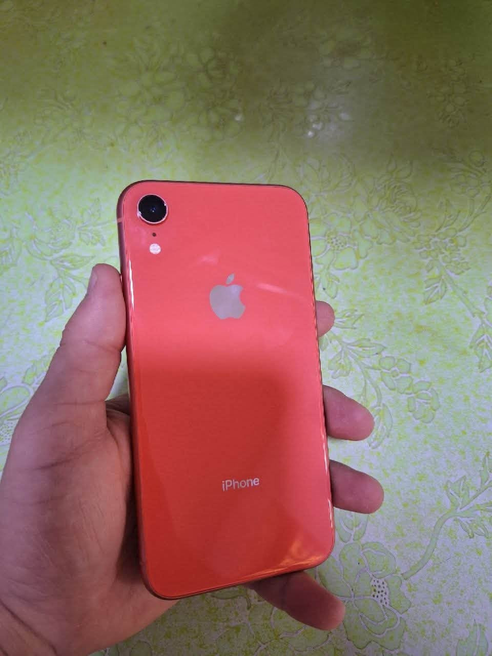 السلام عليكم
ايفون XR 

ذاكره 64 

بطاريه 100 مستبدله 

الجهاز نضيف جدا تاخذه وتدعيلي 

سعره ( 190 ) 

مكاني حله

للاستفسار ***********
