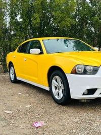 جارجر ١٣ رقم بغداد بسمي مصفرة قرامت وهيه  وارد أمريكي بس بدل باب والبا...