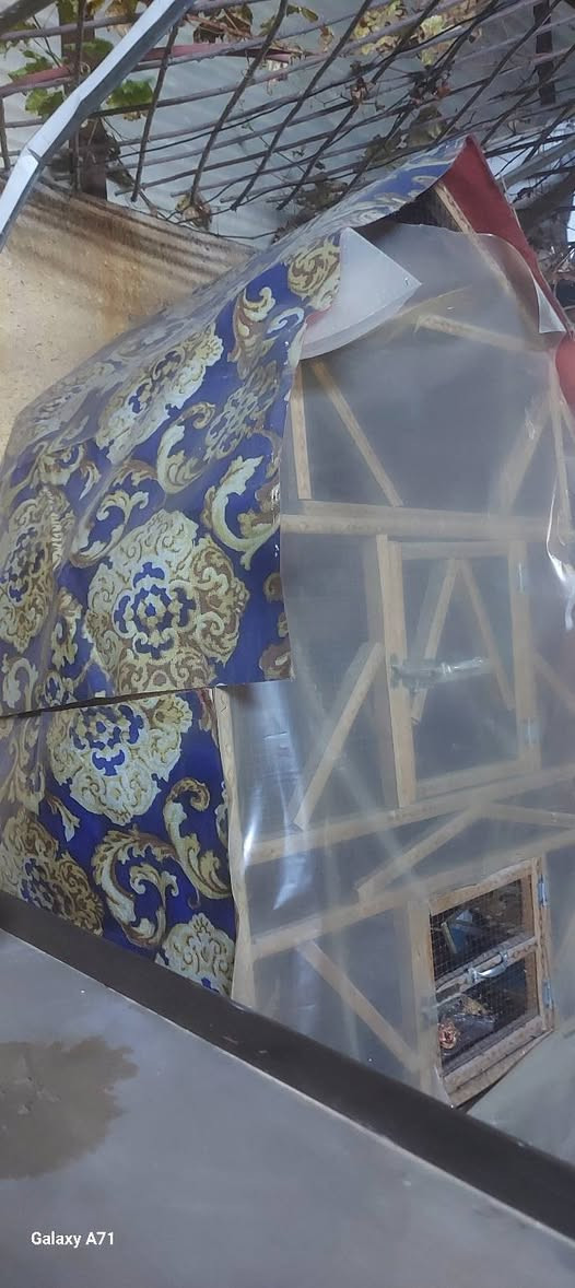 غراض نظيفة استعمال قليل التفاصيل اسفل الصور


**إذا كنت صاحب هذا الإعلان وتريد حذفه لأي سبب، رجاءا أرسل رسالة إلى الدعم الفني**